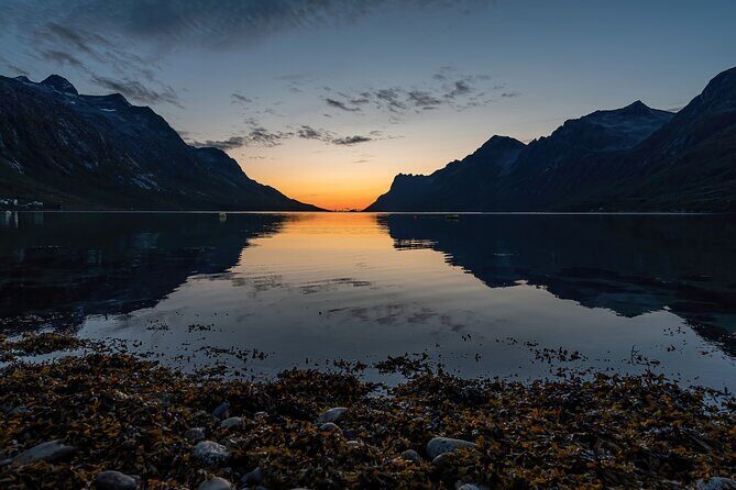 Midnight fjord tour - Snacks, Drinks, and Staying Comfortable Through the Evening
