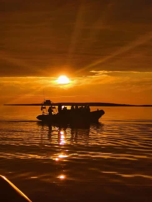 Midnight sun safari - Key points that matter before you go