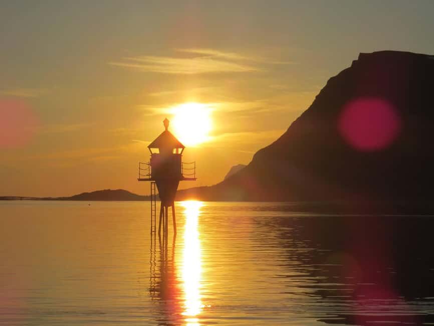 Midnight sun safari - Wildlife spotting game plan: sea eagles, seals, puffins, and whales if lucky