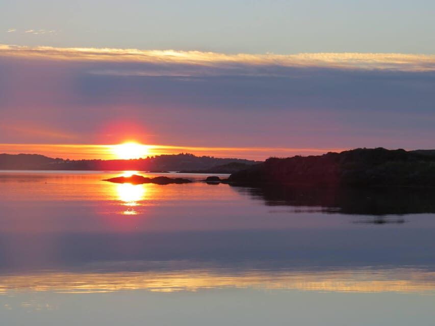 Midnight sun safari - Timing and what the trip feels like in Arctic light