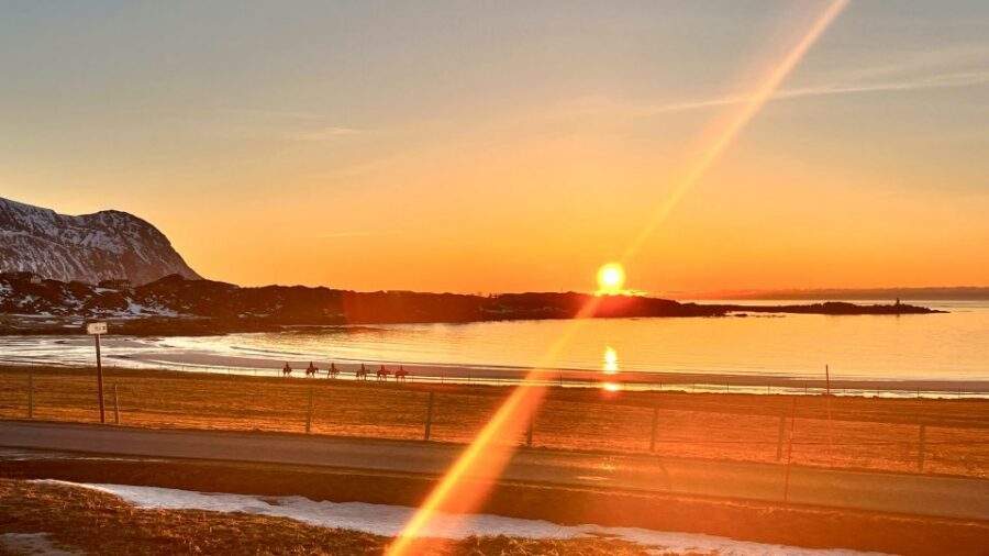 Midnight sun tour - Midnight Sun on Horseback: What This 90 Minutes Feels Like