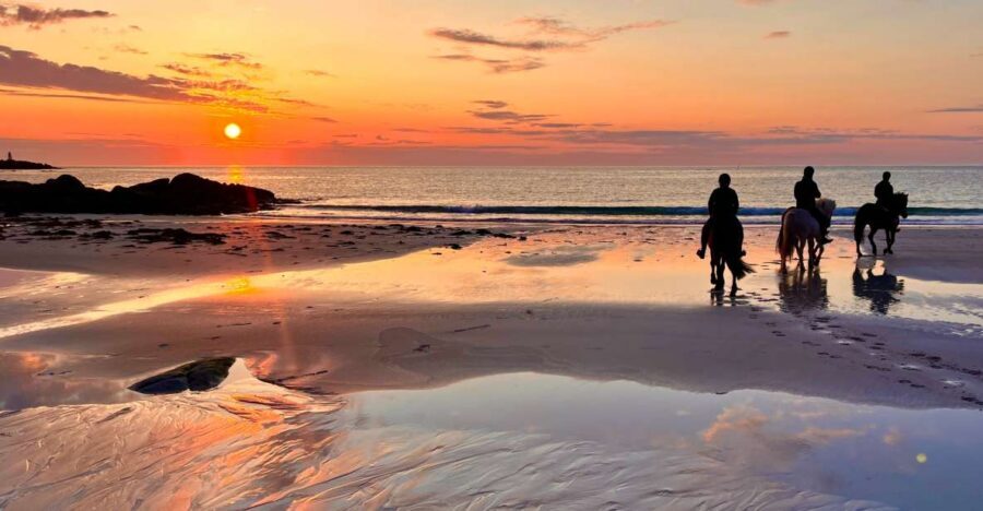 Midnight sun tour - From Hov Gård Stables to Golden Light: The Start of Your Ride