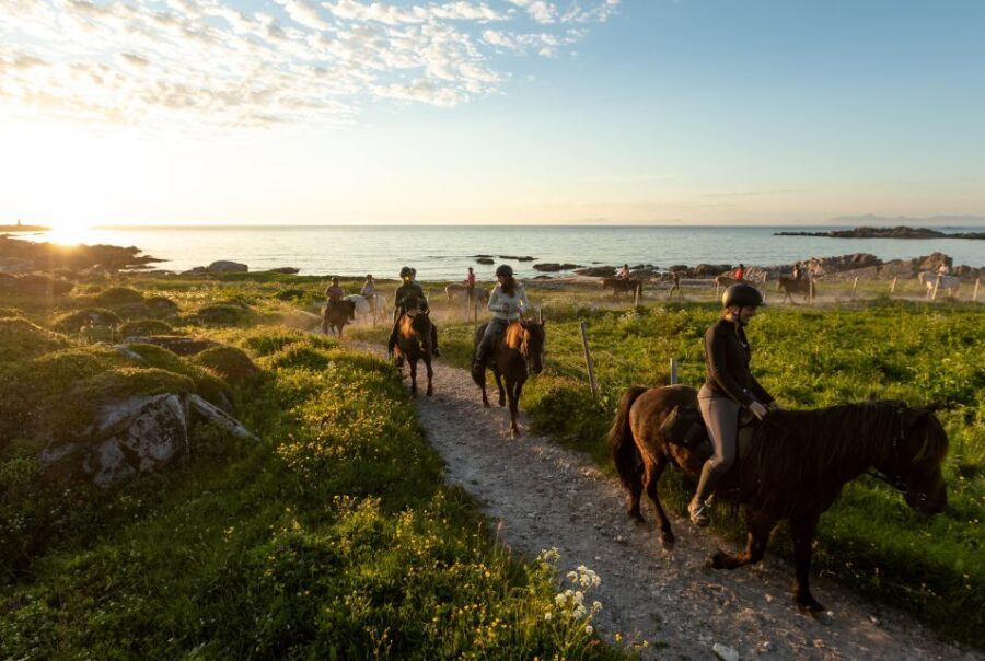 Midnight sun tour - Horses and Safety: What “No Experience” Actually Means