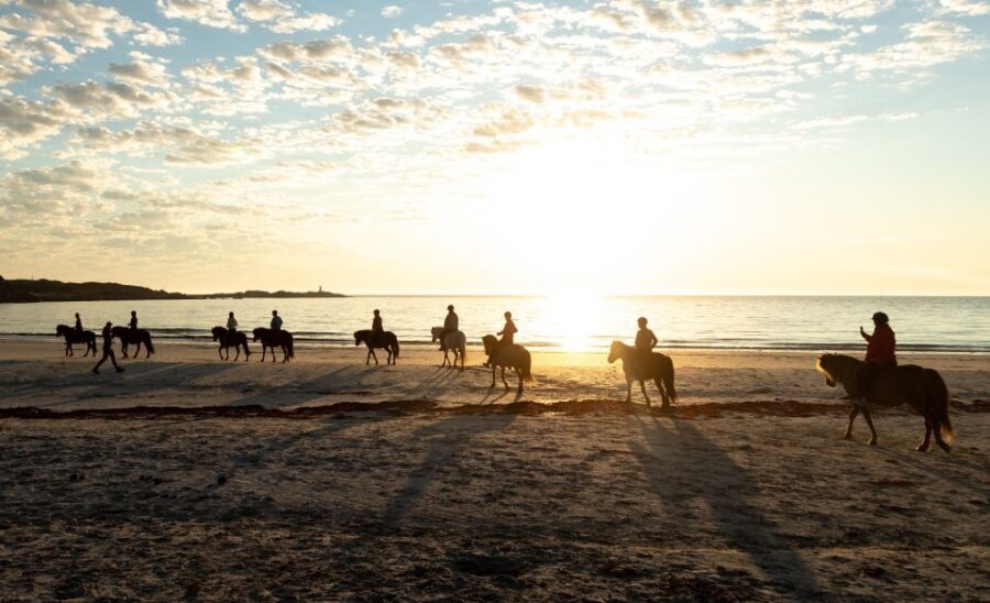 Midnight sun tour - Guides, Communication, and Why Small Groups Matter