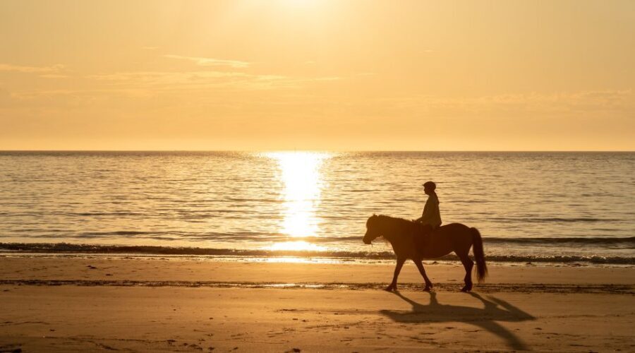 Midnight sun tour - What to Pack (and What Not to)