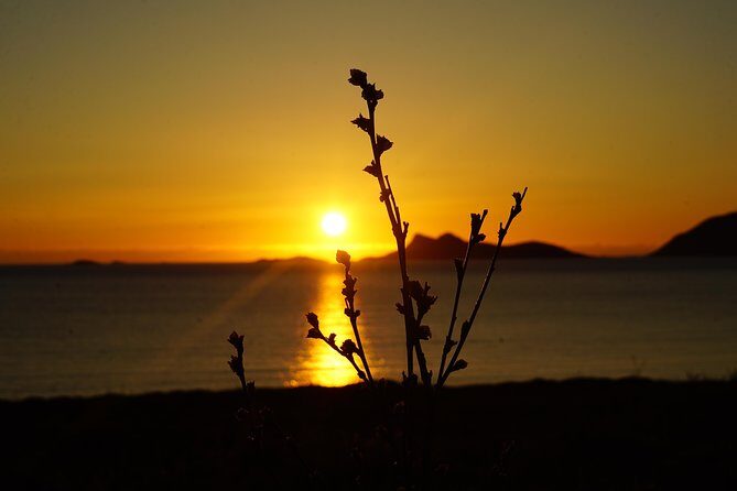 Midnightsun- Eco friendly Tesla Model X - Why a 10:00 pm Tromsø midnightsun tour feels different