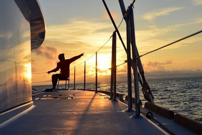 Midnightsun trip - Luxury Catamaran Arctic Princess - Quick hits: Arctic Princess midnight sun, in real terms