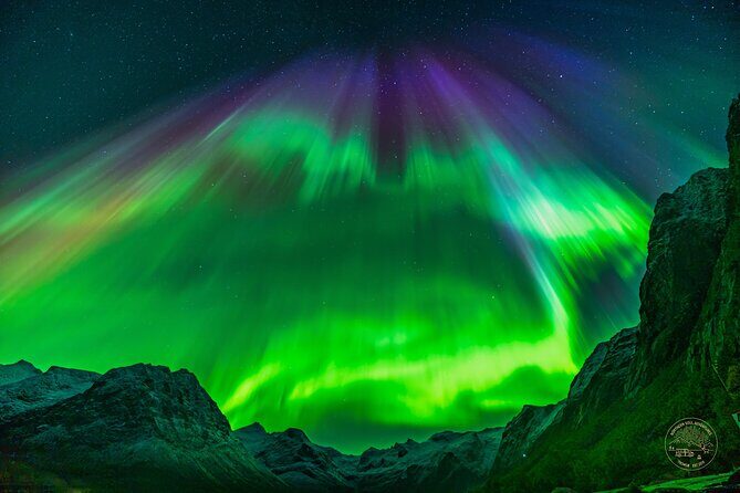 Minibus Northern Lights Chase with Photography from Tromsø - Warmth and food: the comfort plan behind the scenes