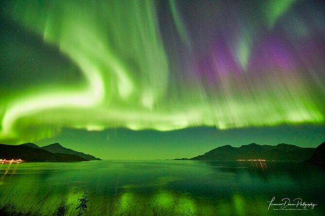 Minivan Northern Lights excursion (8 guests per minivan) - Photography help that isn’t just theory