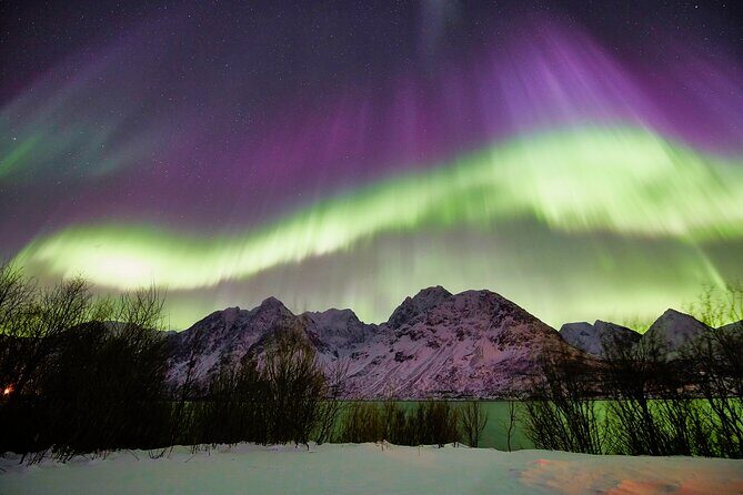 Minivan Northern Lights excursion (8 guests per minivan) - Warm gear, tea, coffee, and keeping your eyes dark