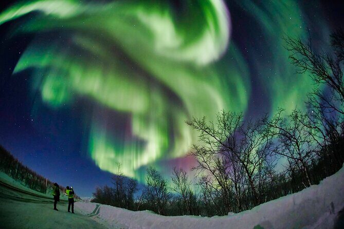 Minivan Northern Lights excursion (8 guests per minivan) - Guide energy matters: science talk plus real chasing