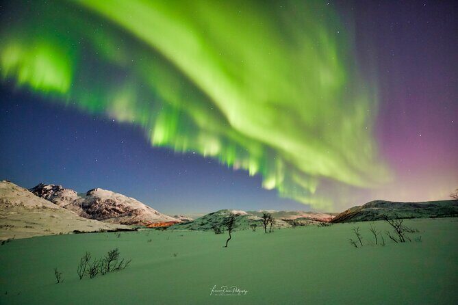 Minivan Northern Lights excursion (8 guests per minivan) - Price and value: where the $204.51 per person fits