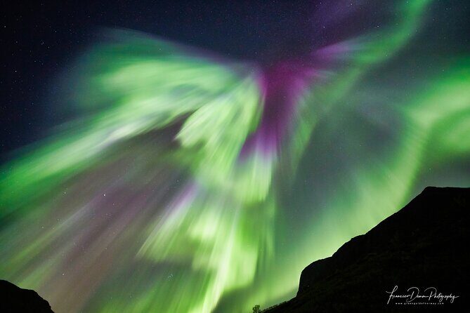 Minivan Northern Lights excursion (8 guests per minivan) - Stop-by-stop: Troms to Keinovuopio and the clear-sky chase logic