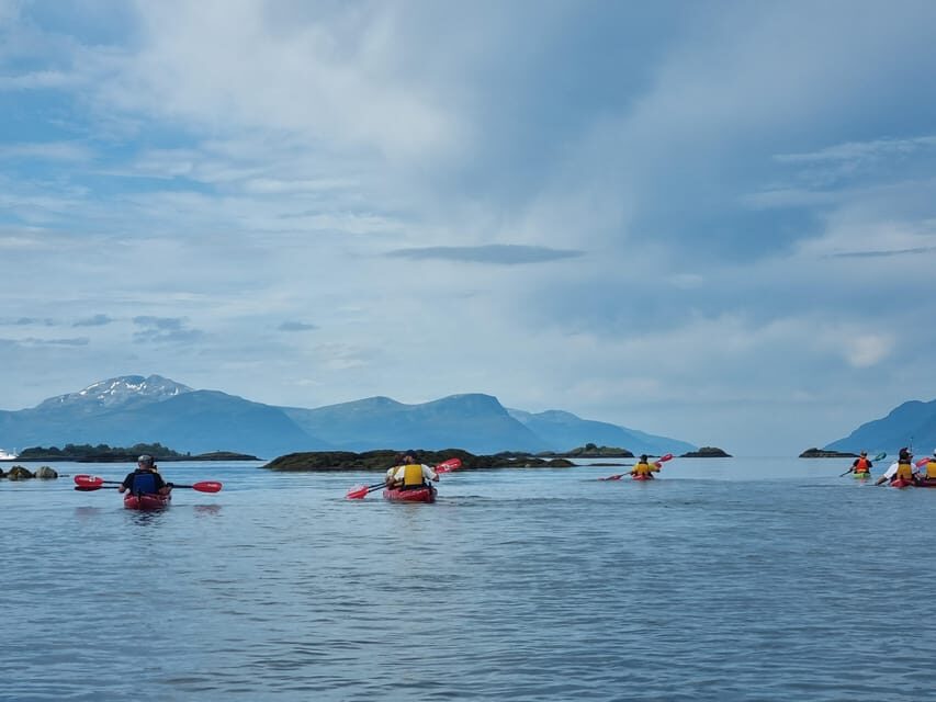 Molde - Guided kayak tour - Who Should Go (and Who Should Skip It)