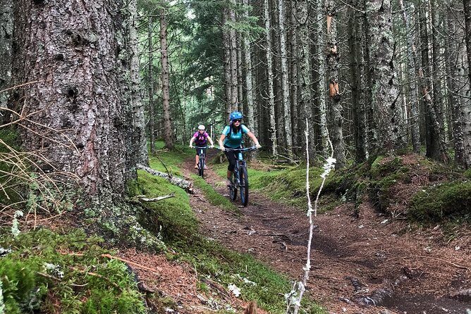 Mountain Bike - Voss Forest - How the trails work for beginners through experienced riders
