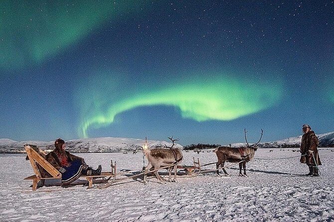 Night Reindeer Sledding with Camp Dinner and Chance of Northern Lights - Key things worth knowing before you go