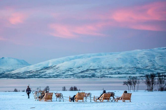 Night Reindeer Sledding with Camp Dinner and Chance of Northern Lights - The sleigh ride: what you should expect from 15 to 20 minutes