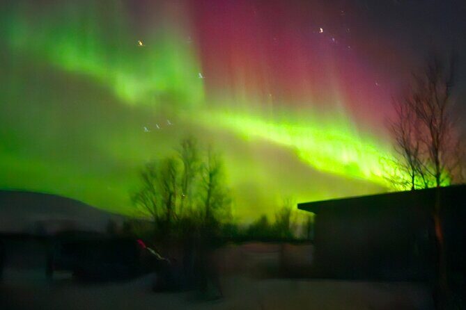 Northern Light Chase Tour - Stop 3 back in Tromsø: a calm return after the chase