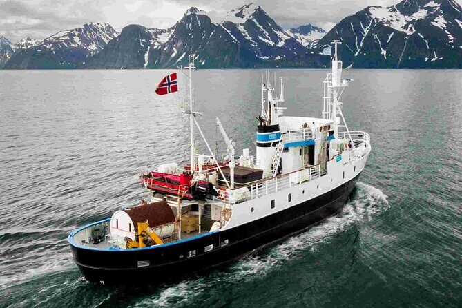 Northern Light cruise on the vintage vessel MS Strønstad - Coffee, biscuits, and the kiosk for snacks and drinks