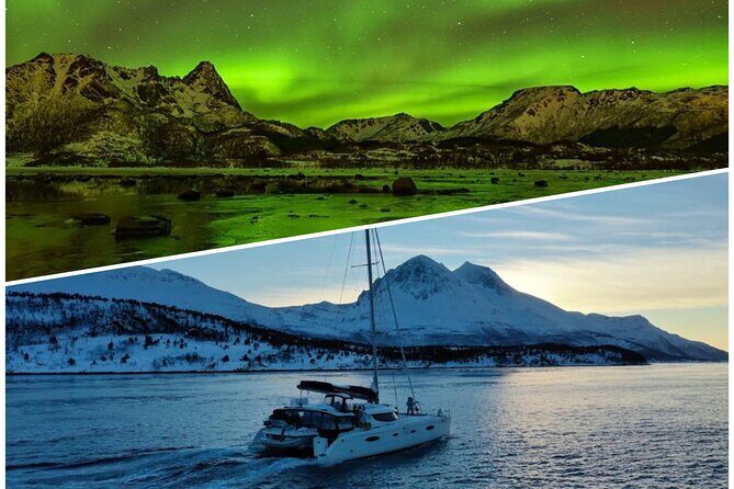 Northern Light Cruise With Luxury Catamaran in Tromso, Norway - Key things to know before you go