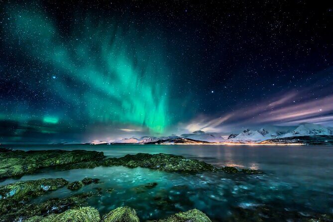 Northern light hunt in Tromsø. WiFi included - Key takeaways before you chase the lights