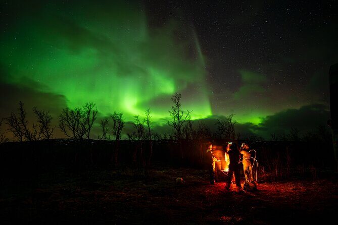 Northern light hunt in Tromsø. WiFi included - The guide’s aurora talk: science plus Tromsø stories