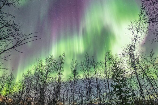 Northern Lights Adventure with Greenlander, 8 people max - Tiny group size means real attention (and faster photo setup)