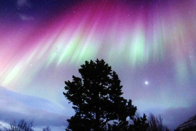 Northern Lights Big Bus Chase with Free Photos - Key things you should know before you go