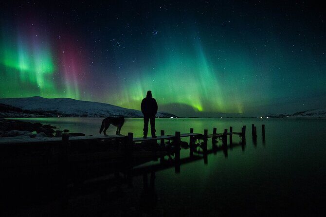 Northern Lights Big Bus Chase with Free Photos - Campfire time: hot drinks, marshmallows, and stories in the snow