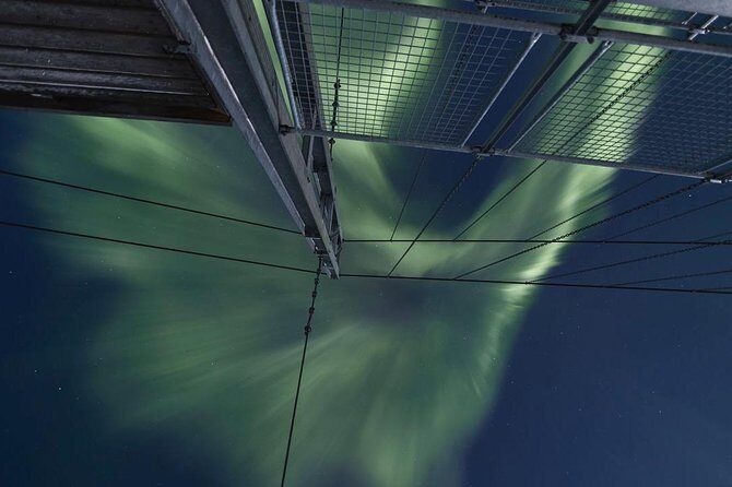 Northern Lights Big Bus Chase with Free Photos - The bus experience: WiFi, restroom breaks, and long-night logistics