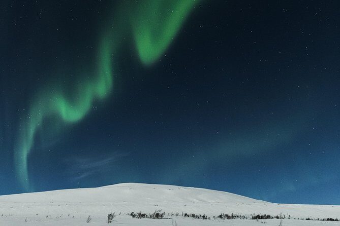 Northern lights cable car excursion - Fjellstua café stop: coffee, waffles, and what passes for dinner here