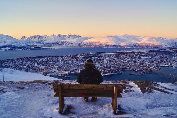 Northern lights cable car excursion - Value check: is $191.57 for 3 hours a good deal?