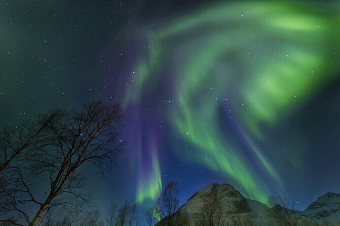 Northern Lights Chase by Bus in Tromso - Naked-eye versus camera expectations: set your bar correctly