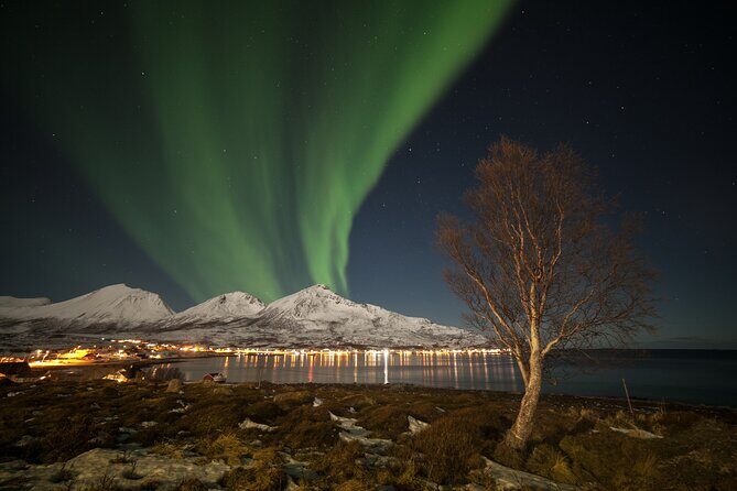 Northern Lights Chase by Bus in Tromso - Price and value: is $128.88 fair for an 8-hour night?