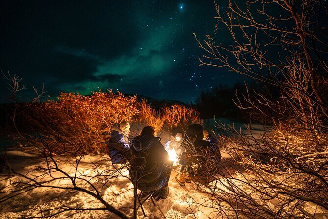 Northern Lights Chase - Small group experience - Guide Impact: Halvar and Hanne Set Different Tones