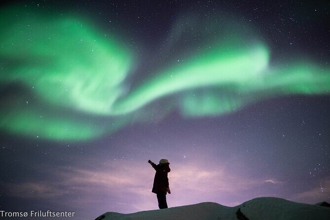 Northern Lights Chase with Authentic North Norwegian Charm - The Movie Stop: Science, Folklore, and a Mental Reset