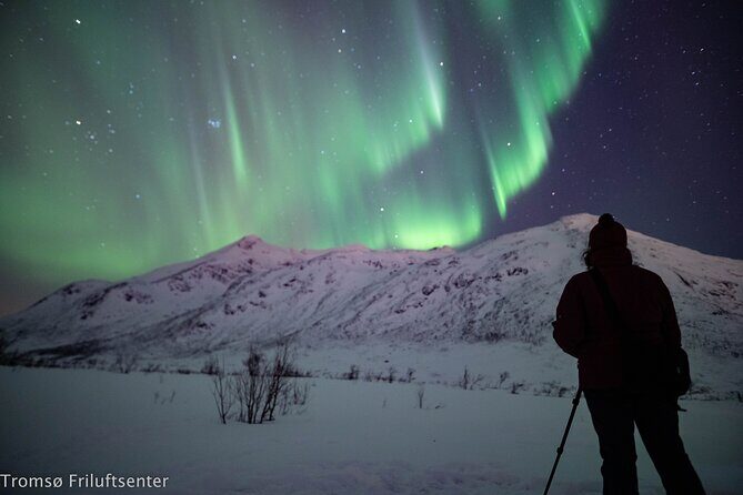 Northern Lights Chase with Authentic North Norwegian Charm - Warm Drinks, Snacks, and the Comfort Factor