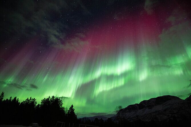 Northern Lights Chase with Authentic North Norwegian Charm - Lavvu and Bonfire Moments (When the Timing Works)