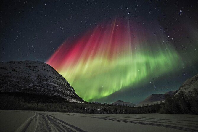 Northern Lights Chase with Photography from Tromsø - Key Points to Know Before You Go