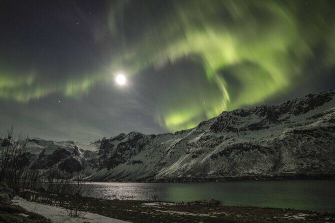 Northern Lights Chase with Photography from Tromsø - Photography Assistance: Getting Better Results With Your Phone or Camera