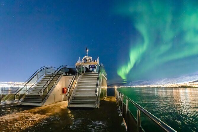 Northern Lights Cruise in Bodø - Why a Bodø Northern Lights Cruise Makes Sense