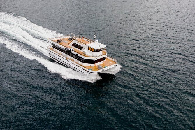 Northern Lights Cruise in Bodø - Logistics That Matter in the Cold: Meeting Point and Timing