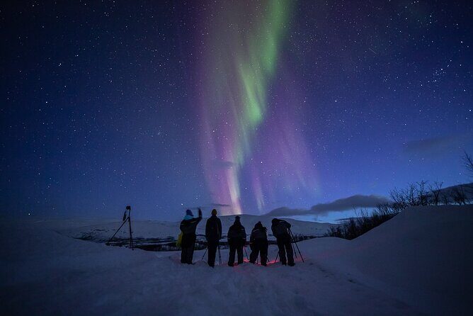 Northern Lights Expedition Tromsø - 6 people - Arctic Photo Guide - The Northern Lights chase: flexible timing, real chances, fewer surprises