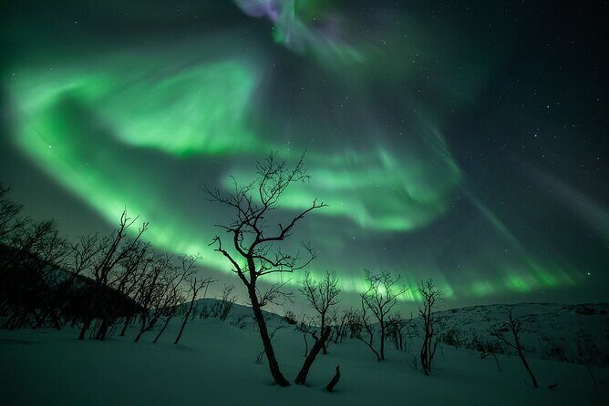 Northern Lights Expedition Tromsø - 6 people - Arctic Photo Guide - The 4x4 Land Cruiser drive: small group, real roads, real limits