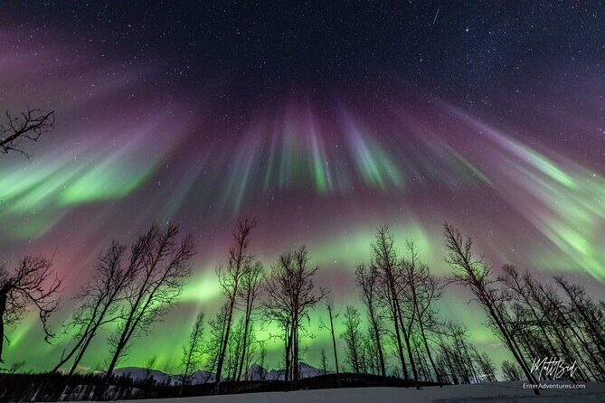 Northern Lights Guided Bus Tour with Free Photos - How the Aurora Search Really Works Outside City Lights