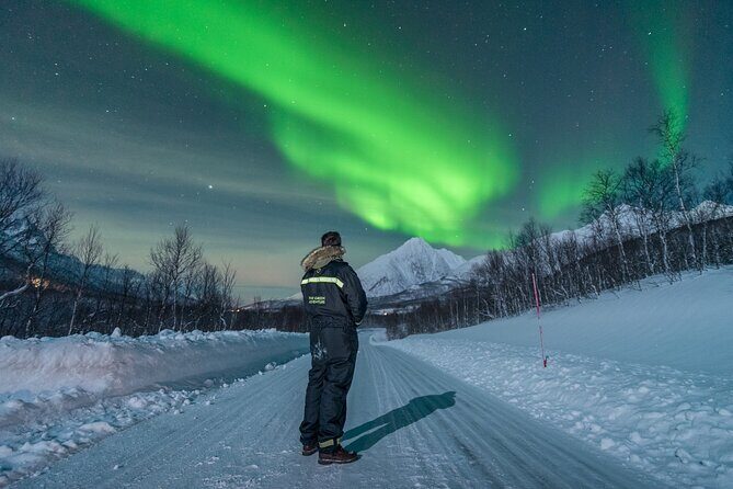 Northern Lights Hunt with The Green Adventure - photos included - Bonfire in the Arctic wilderness: breaks that help you stay ready