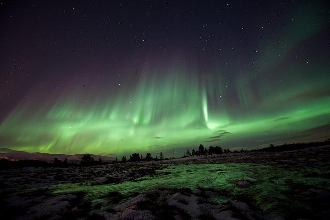 Northern Lights Husky Visit - Key highlights to know before you go