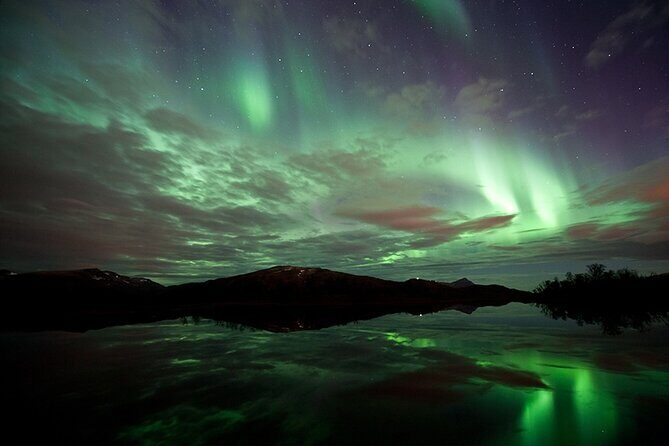 Northern Lights Husky Visit - Logistics and comfort: what’s included and what to watch for