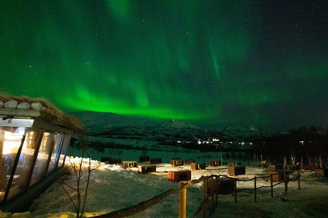 Northern Lights Husky Visit - Price and value: why it costs what it costs