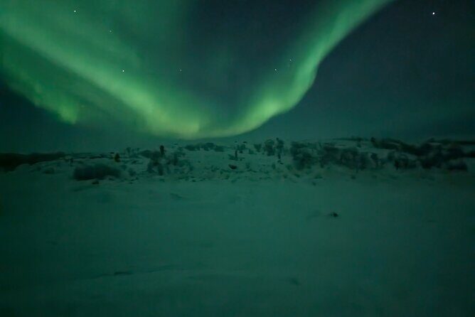 Northern Lights Minibus Chase Max 16 Person In Group - After the lights: the safari drive and why it can be more than filler